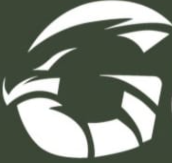 Gulf East African Courier Logo